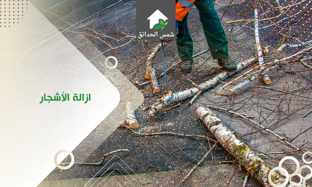 شركة ازالة الأشجار