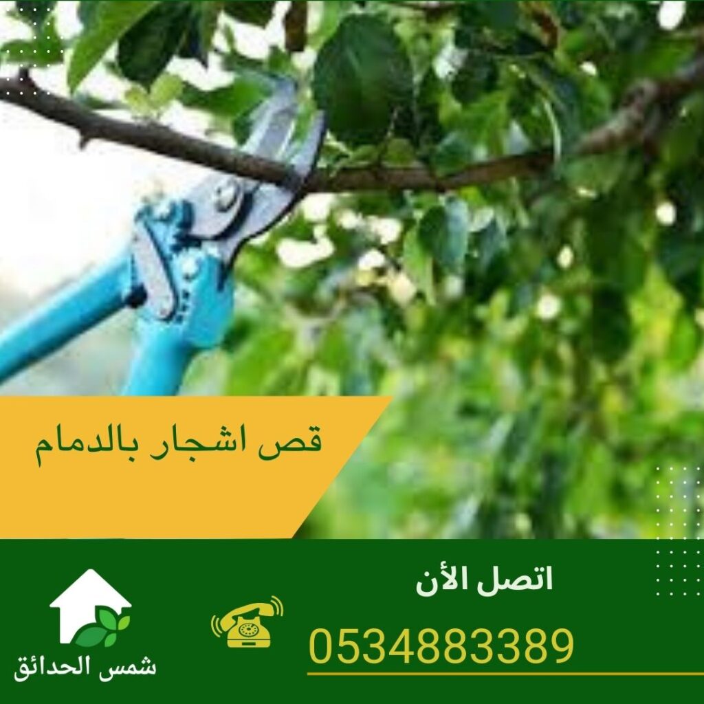 قص اشجار بالدمام