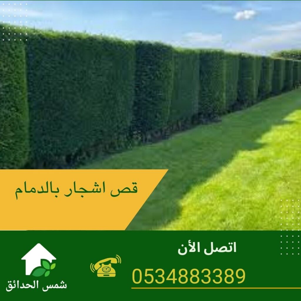 قص اشجار بالدمام