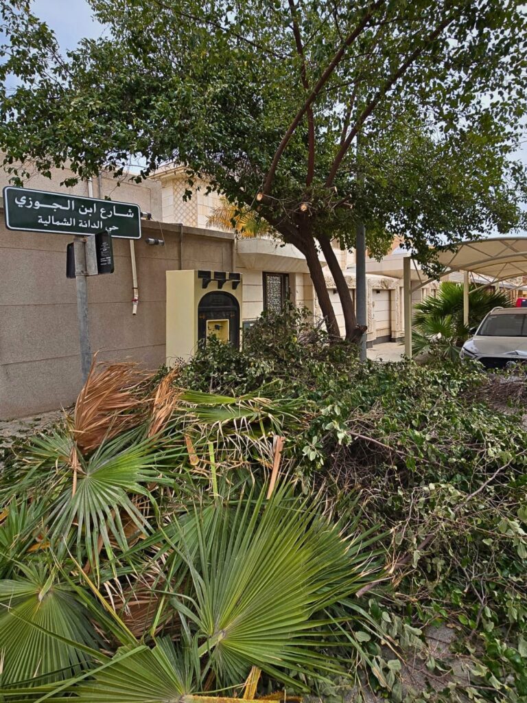 تقليم الأشجار بالخبر و الدمام