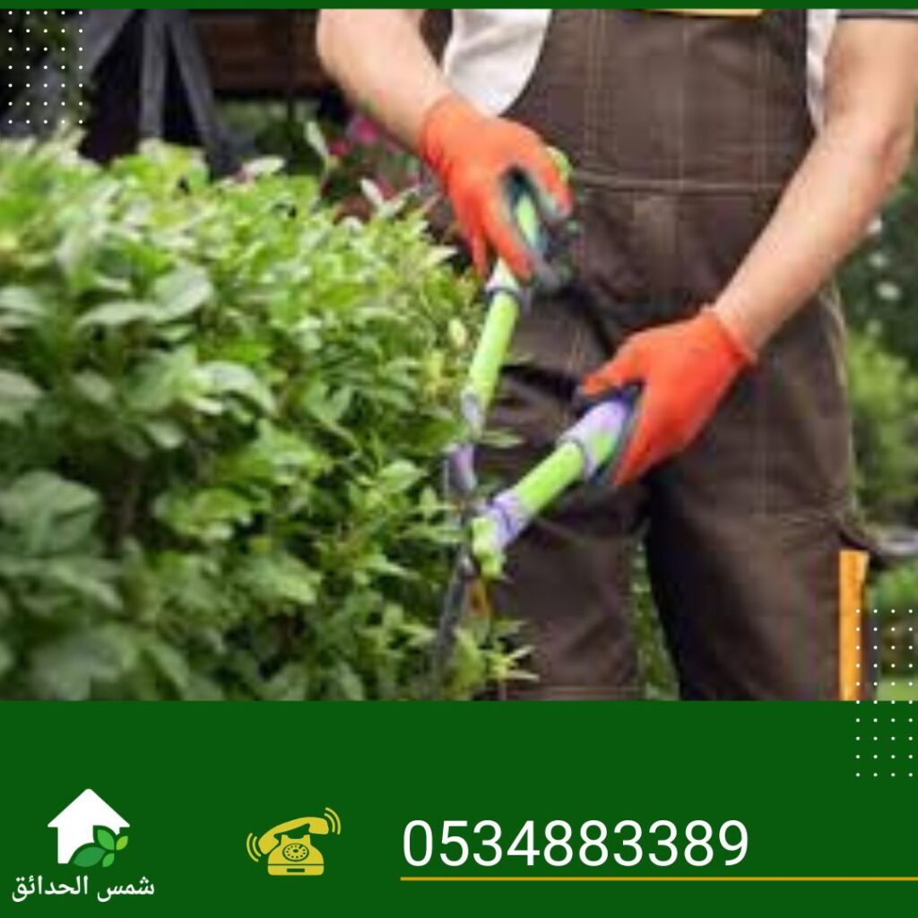 صيانة الحدائق ورعايتها طوال العام