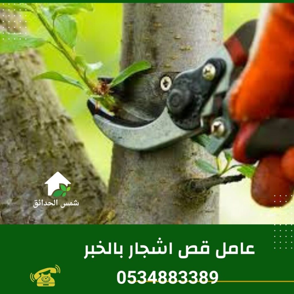 عامل قص اشجار بالخبر