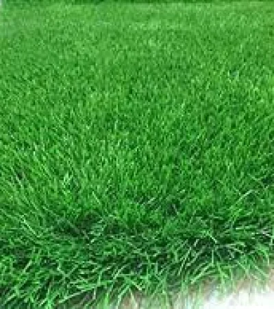 عشب صناعي (11)