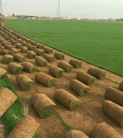 FB_IMG_1530469625735